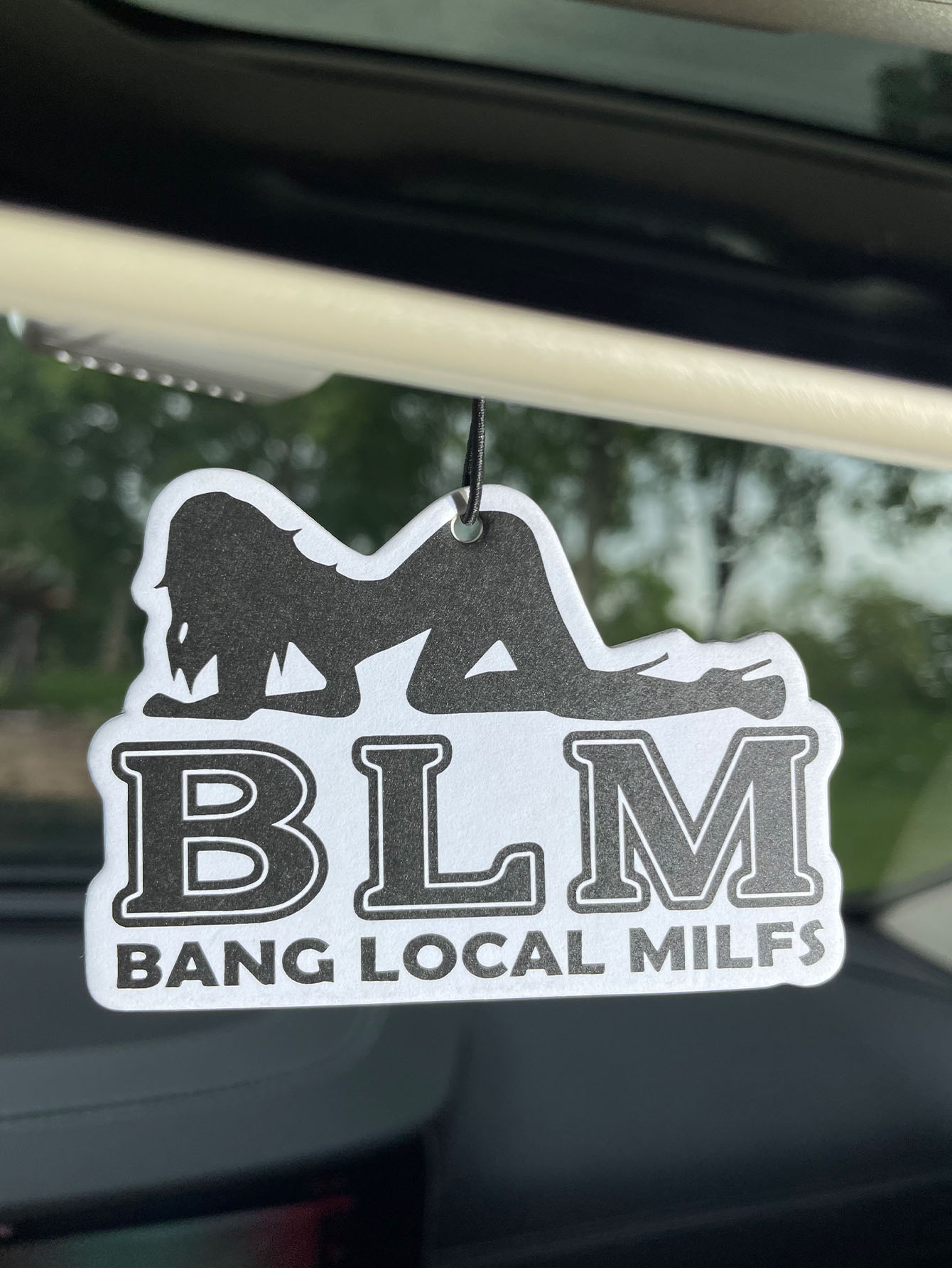 Blm Bang Local Milf/Fresh Frag - Home Bathroom Vent recensie en prijs