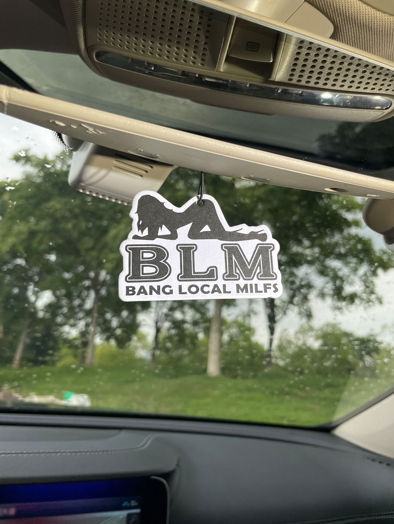 Blm Bang Local Milf/Fresh Frag - Home Bathroom Vent recensie en prijs