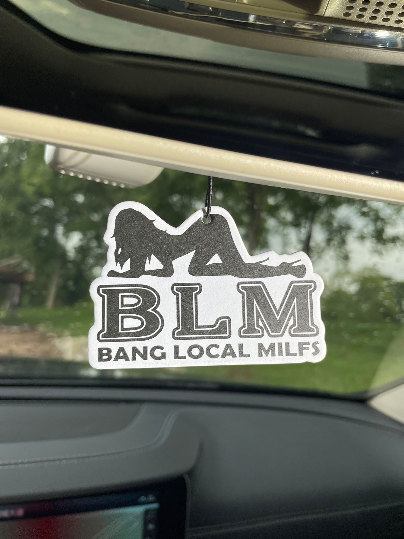 Blm Bang Local Milf/Fresh Frag - Home Bathroom Vent recensie en prijs