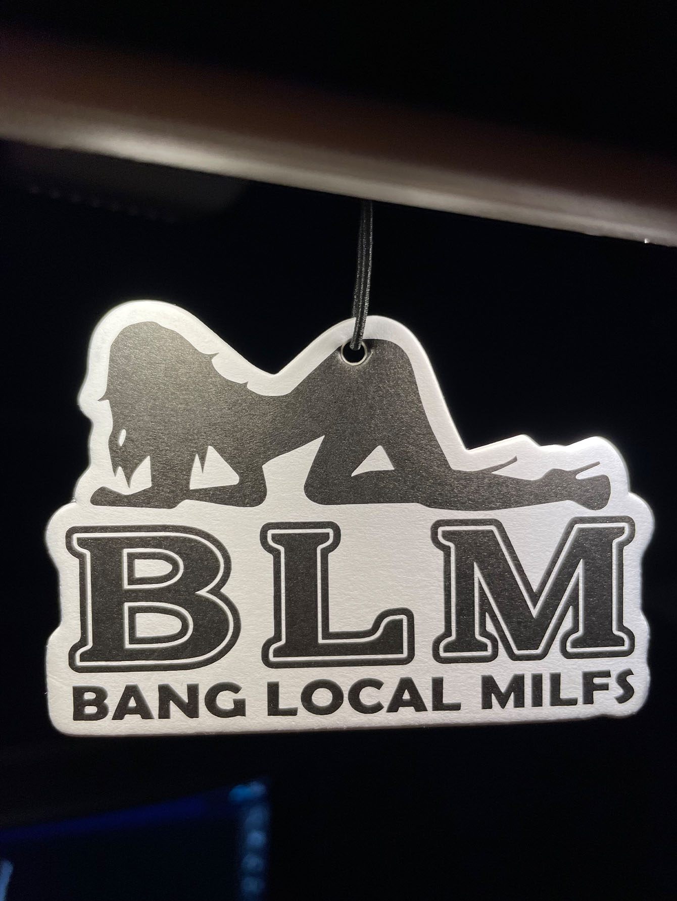 Blm Bang Local Milf/Fresh Frag - Home Bathroom Vent recensie en prijs