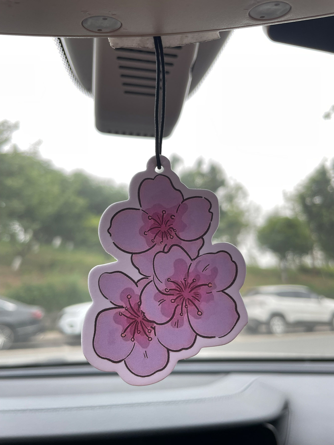 Sakura/Freesia Fresh Scent Fiv - Home Bathroom Vent recensie en prijs