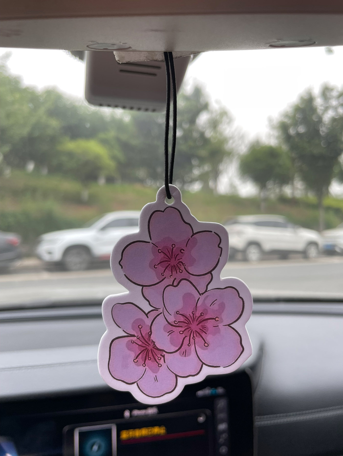 Sakura/Freesia Fresh Scent Fiv - Home Bathroom Vent recensie en prijs